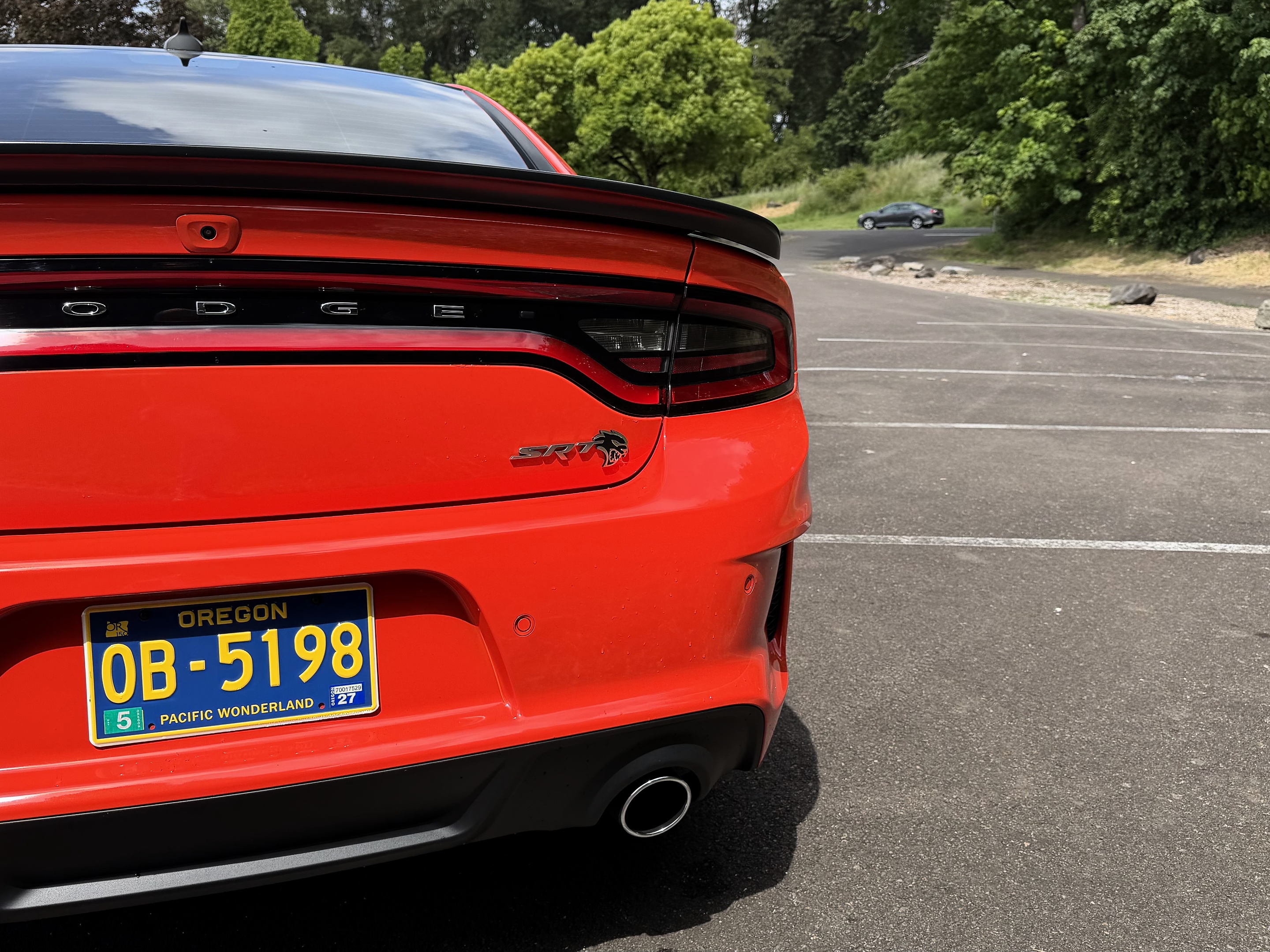 2023 Dodge Charger SRT - Photo 6