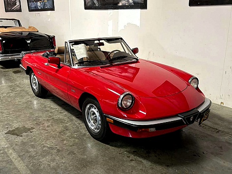 1987 Alfa Romeo Spider's photo