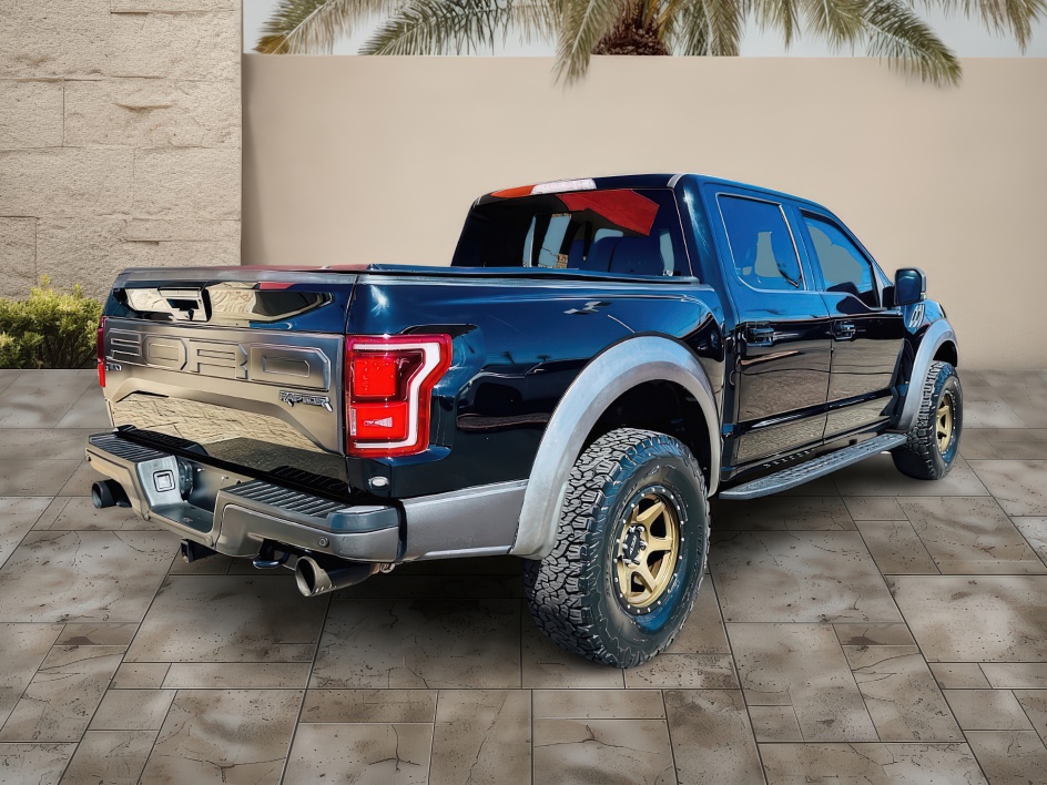 2018 Ford F-150 Raptor photo 3