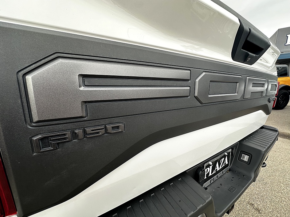2020 Ford F-150 Raptor - Photo 10