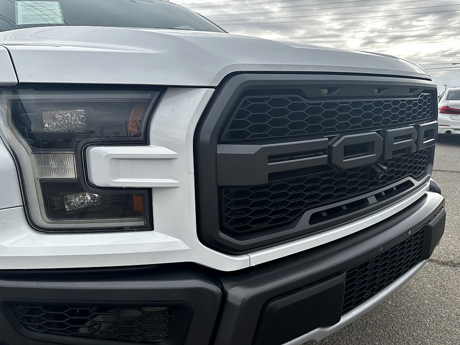 2020 Ford F-150 Raptor - Photo 8