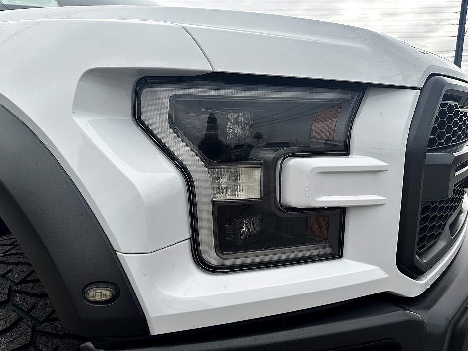 2020 Ford F-150 Raptor - Photo 9