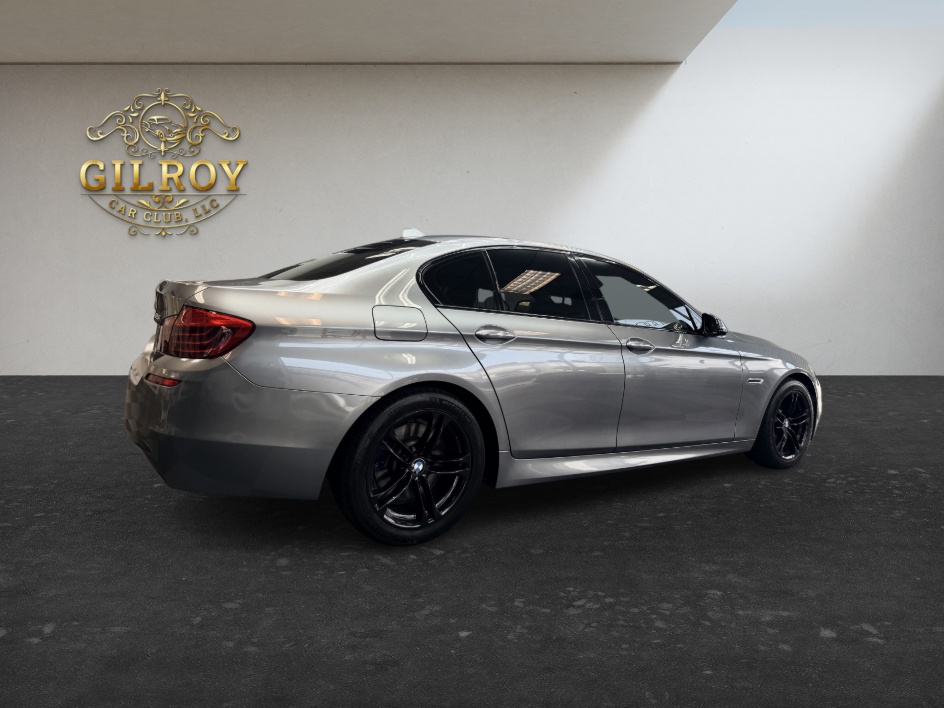 2016 BMW 5 Series 528i - Photo 19