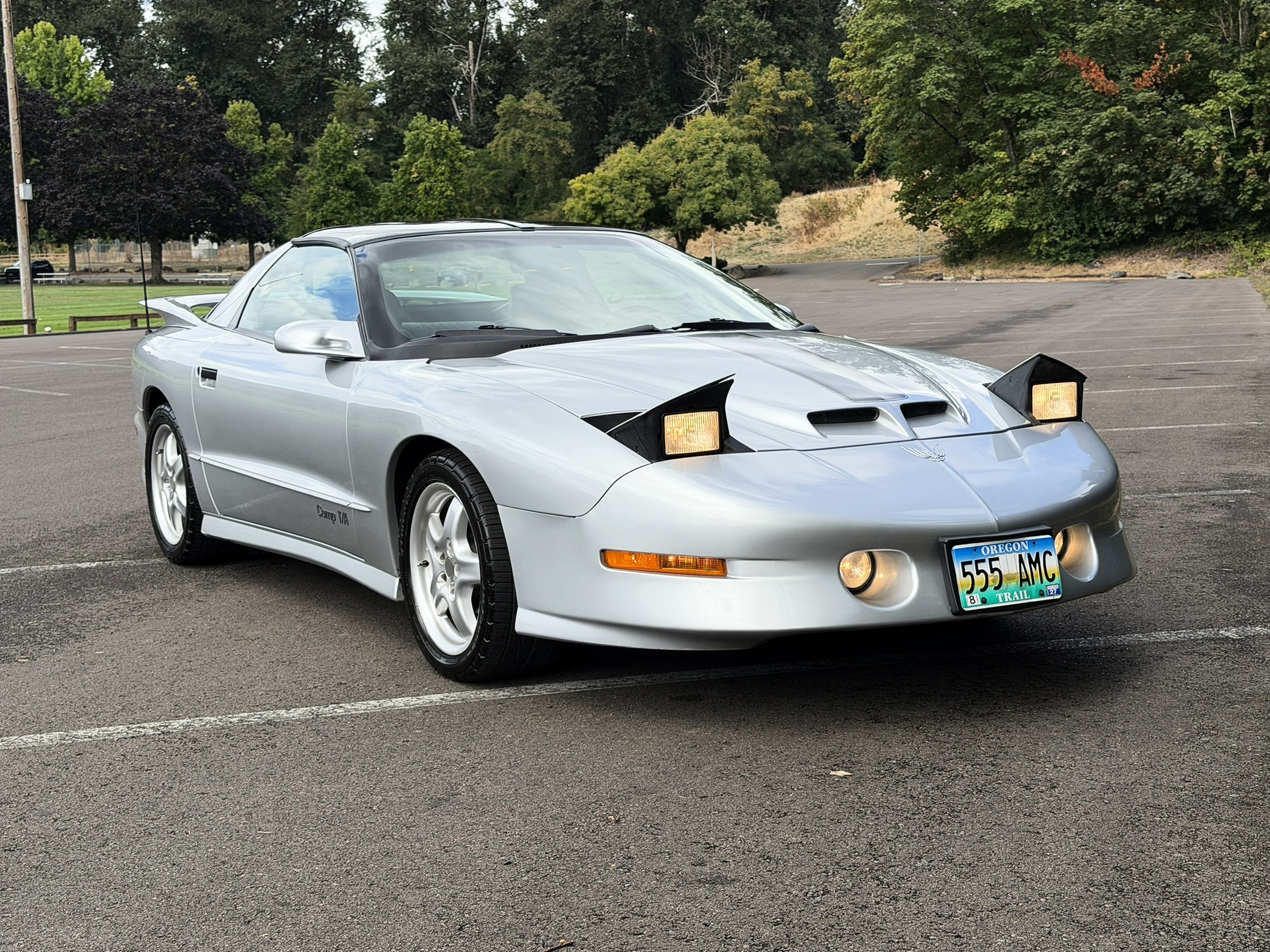 1996 Pontiac Firebird - Photo 11