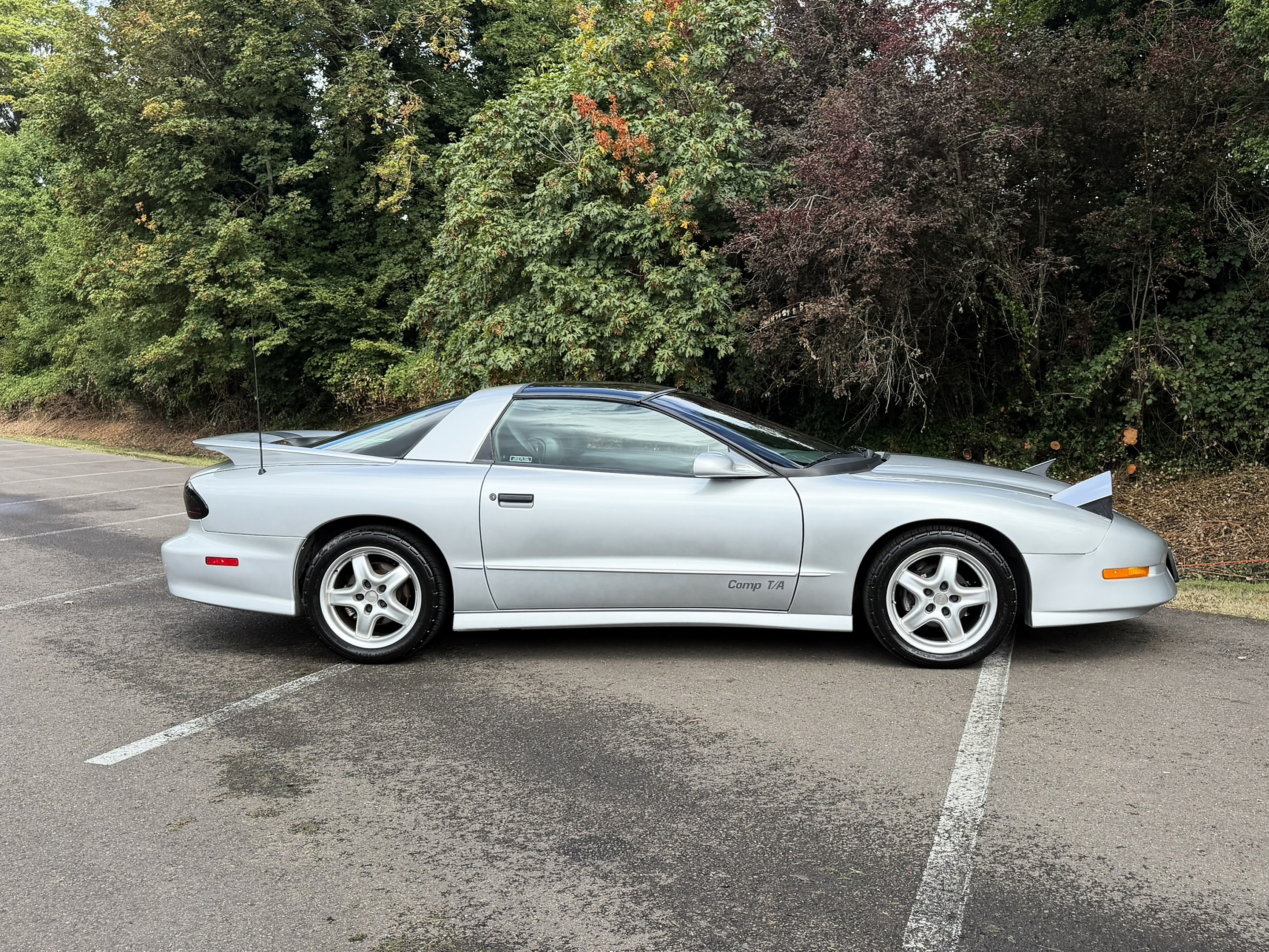 1996 Pontiac Firebird - Photo 9