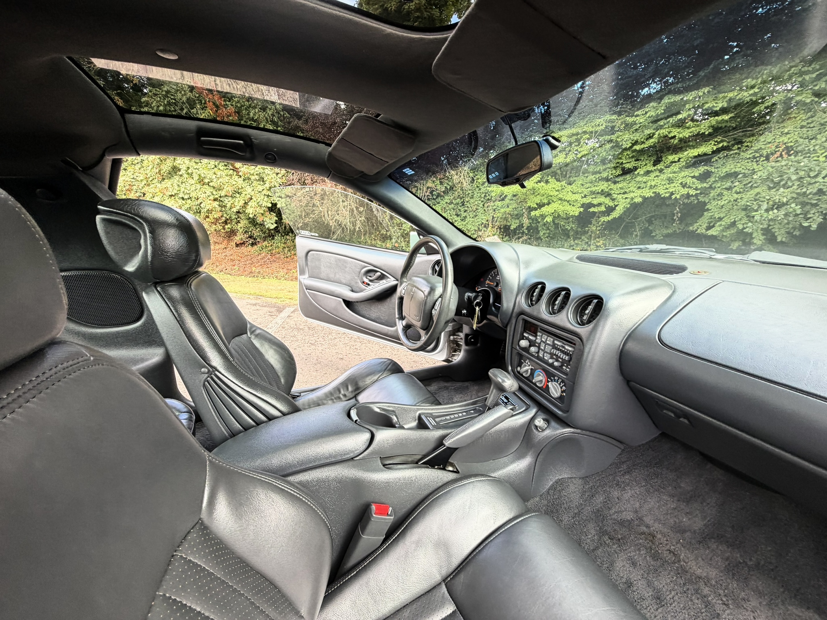 1996 Pontiac Firebird - Photo 45