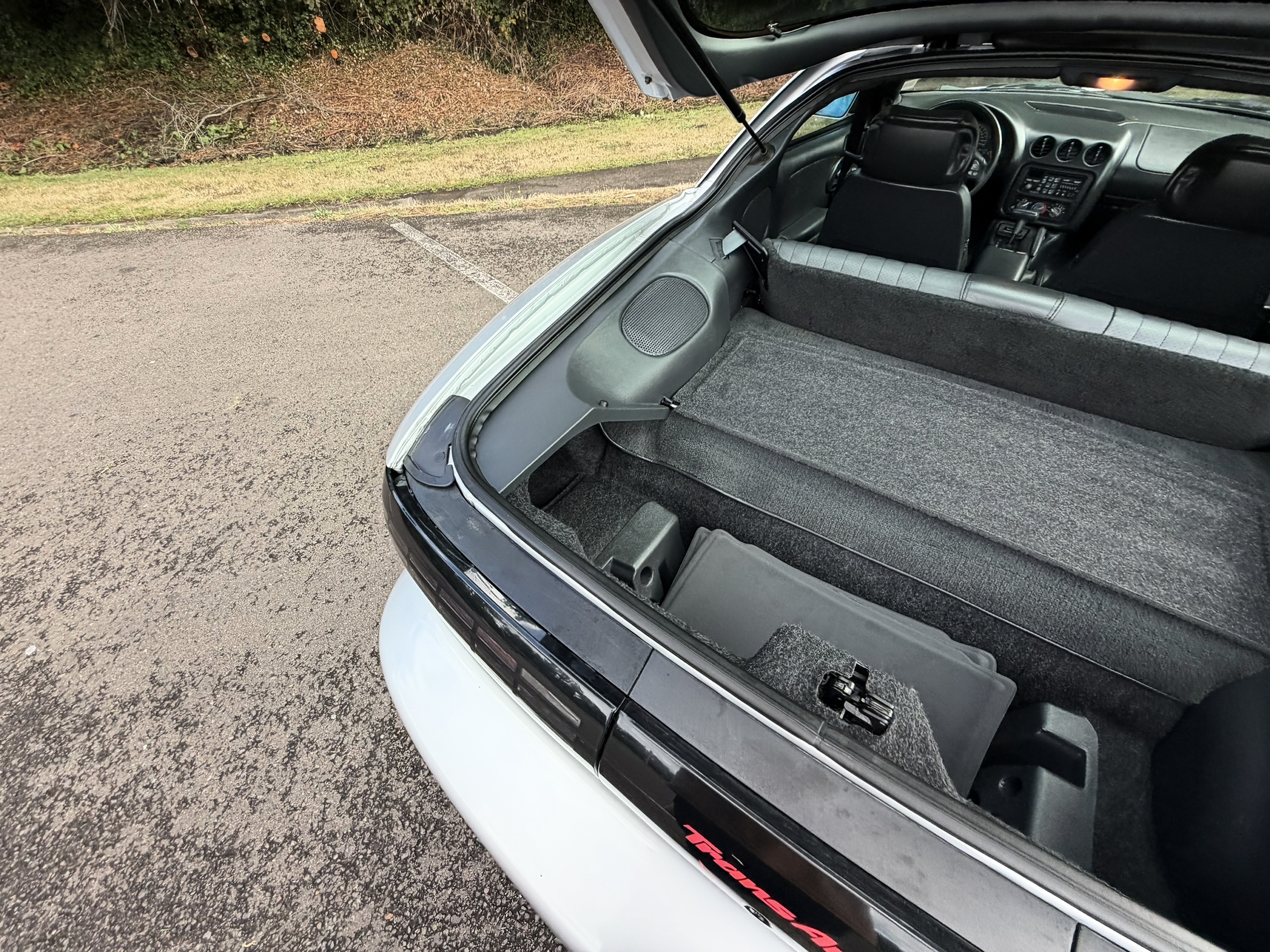 1996 Pontiac Firebird - Photo 63