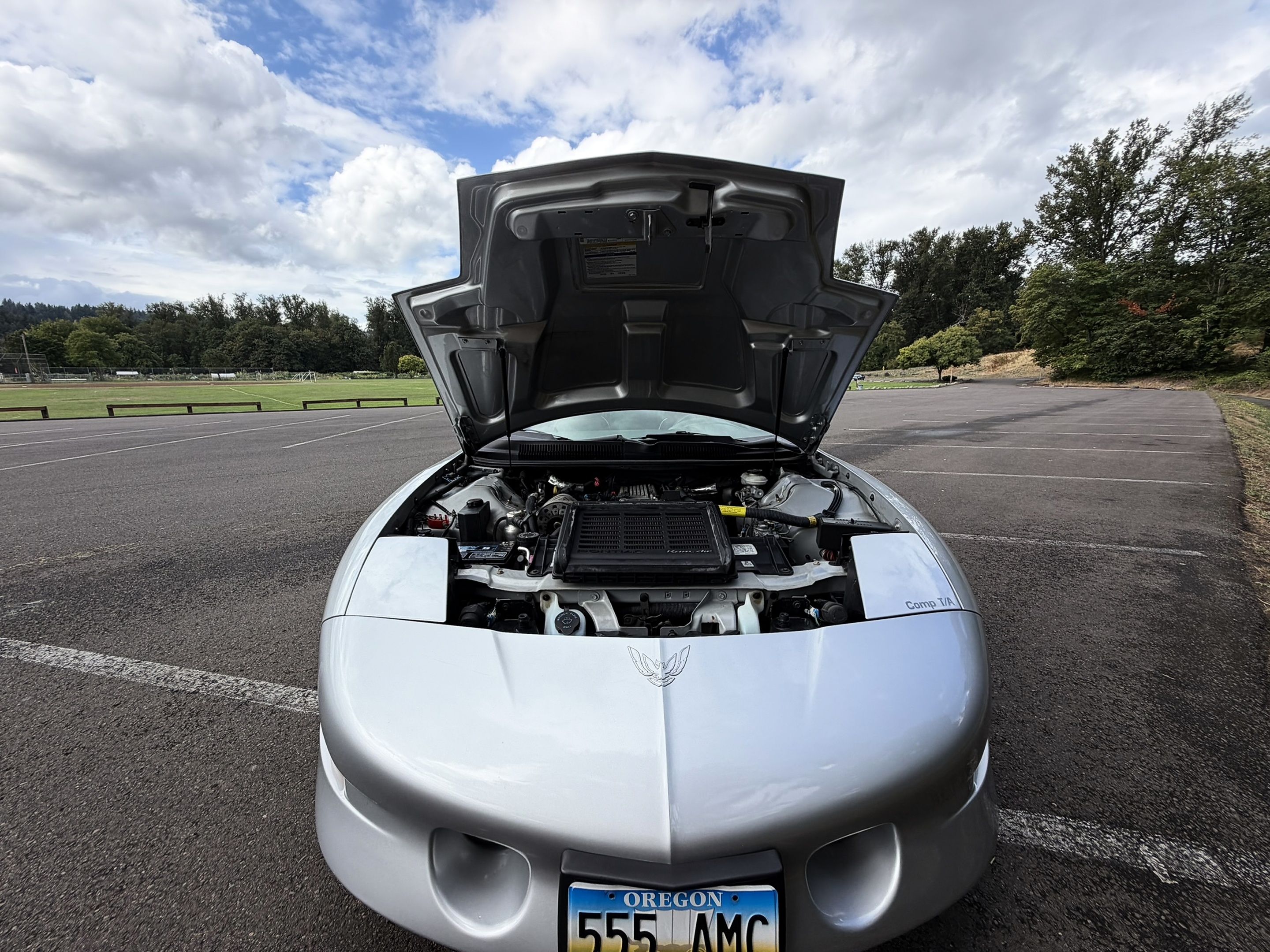 1996 Pontiac Firebird - Photo 57