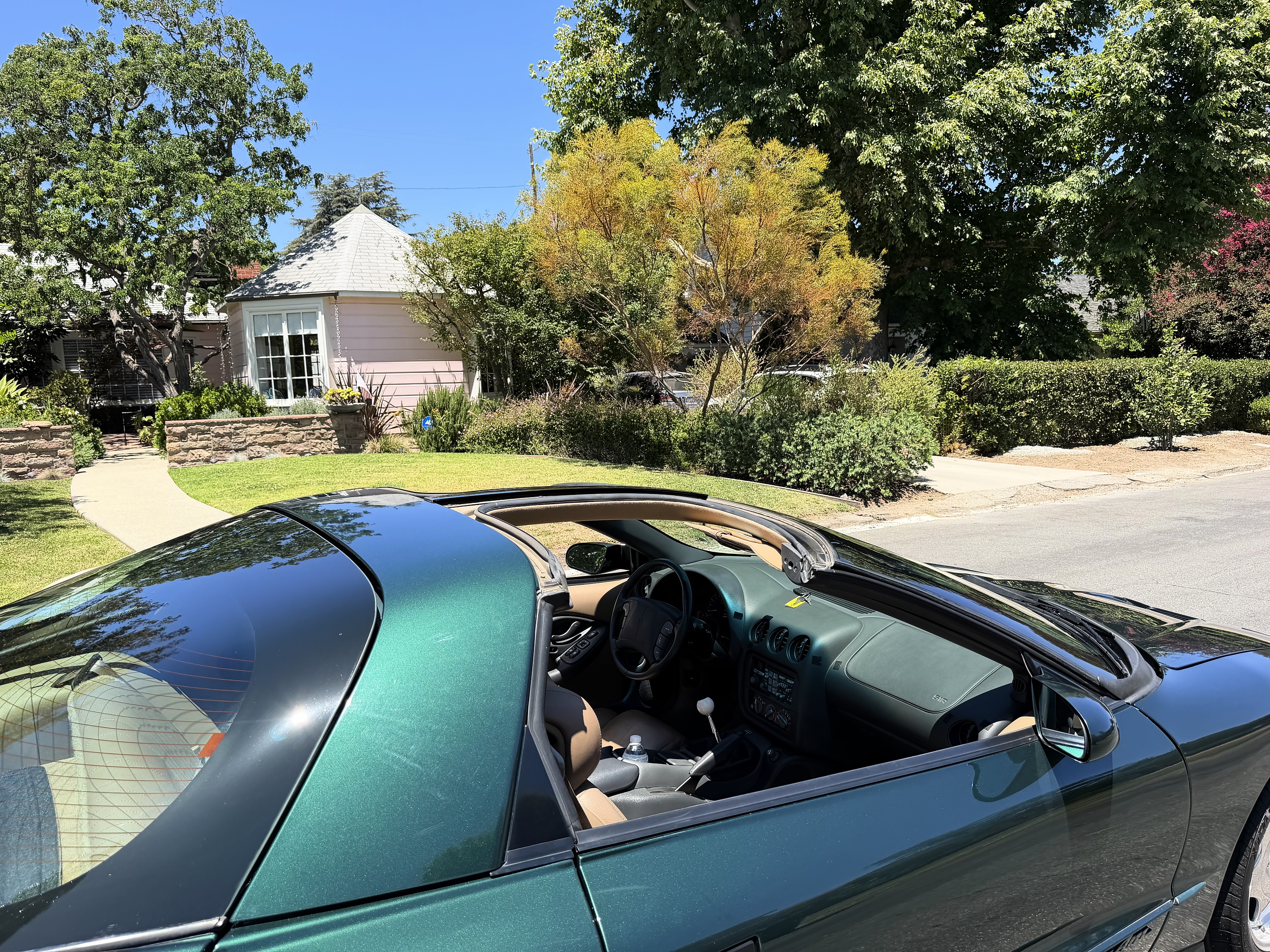 Photo 11