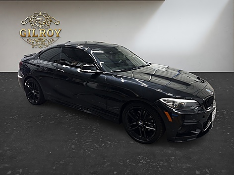 2017 BMW 2 Series 230i Coupe's photo