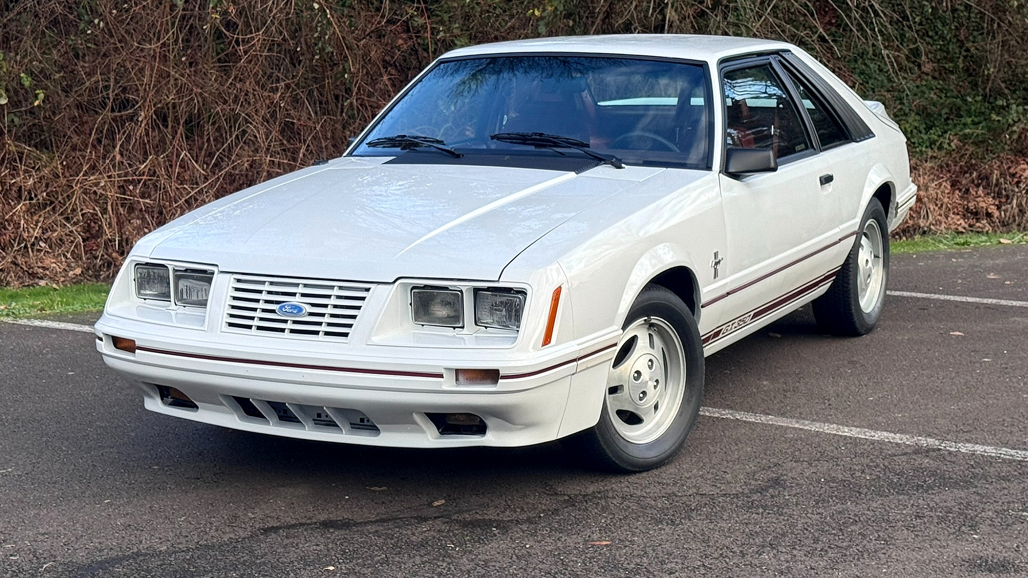 1984 Ford Mustang's photo