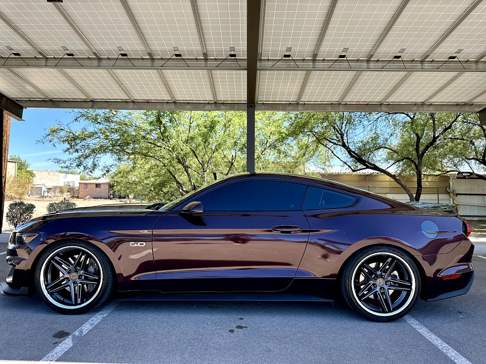 2016 FORD MUSTANG GT PREMIUM ESS SUPERCHARGED Driven Auto