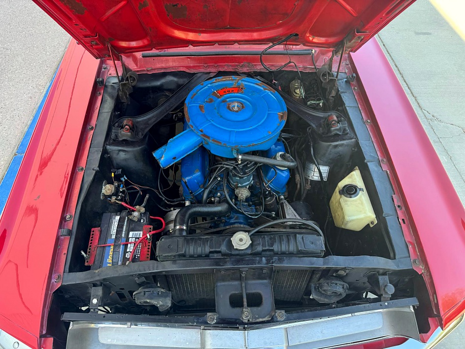 1967 FORD MUSTANG Desert Private Collection Motorsports Palm