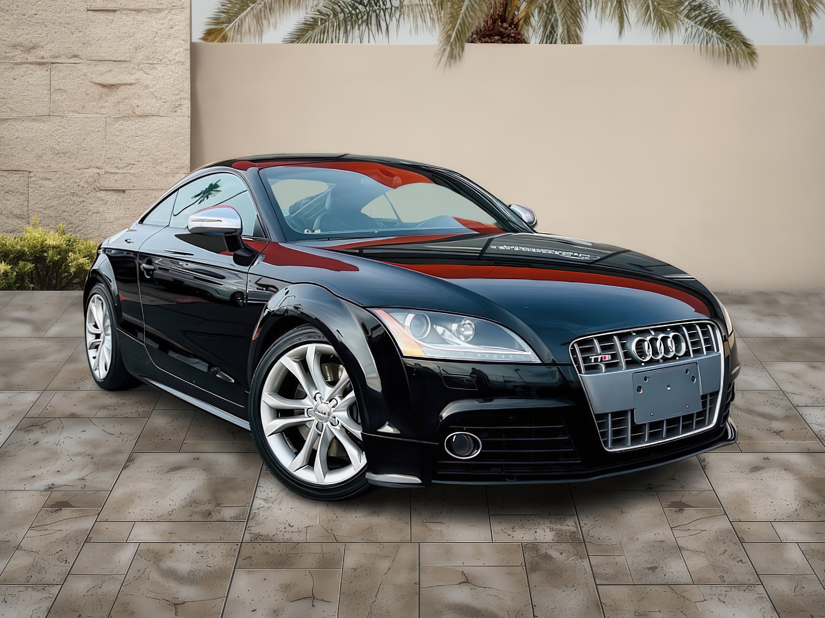 2009 Audi TTS