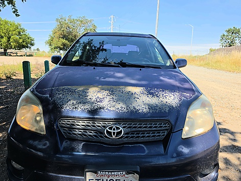 2006 Toyota Matrix Base