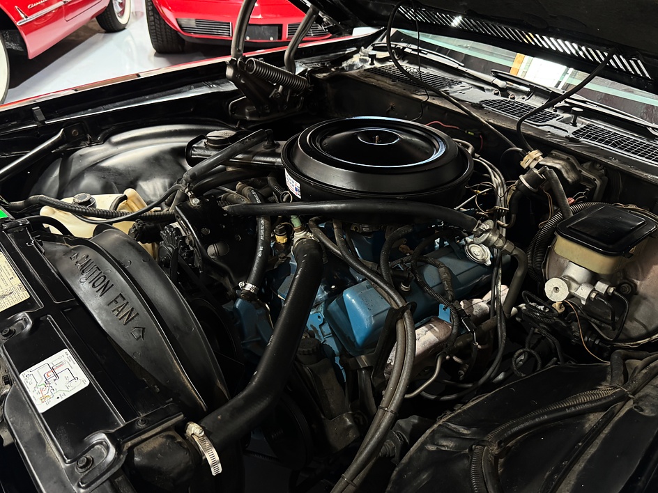 1981 Chevrolet Camaro - Photo 46
